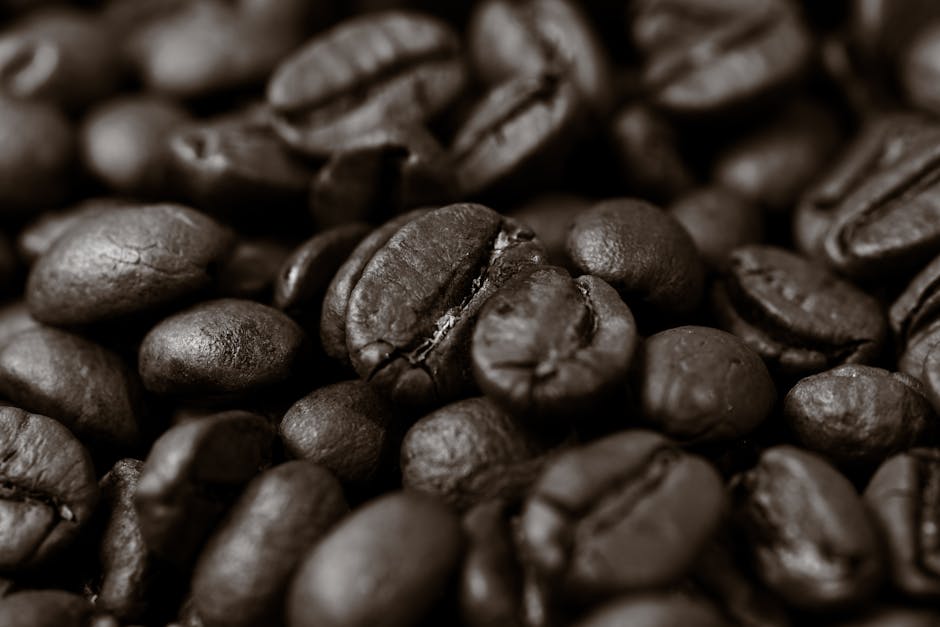 PostCoffeeの選び方ガイド【他のコーヒーサブスクとの比較】