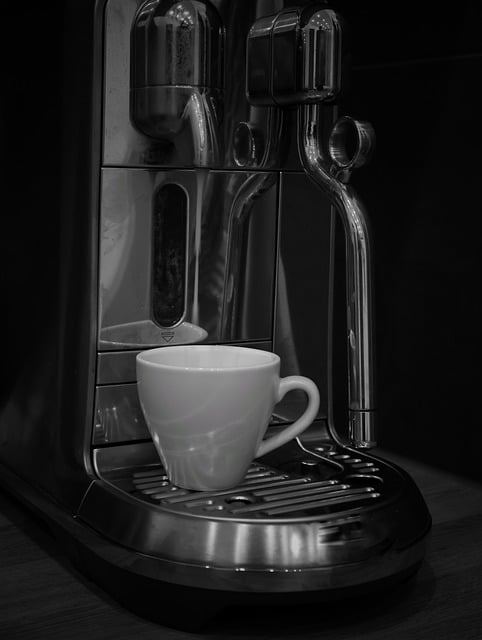 コーヒーかす